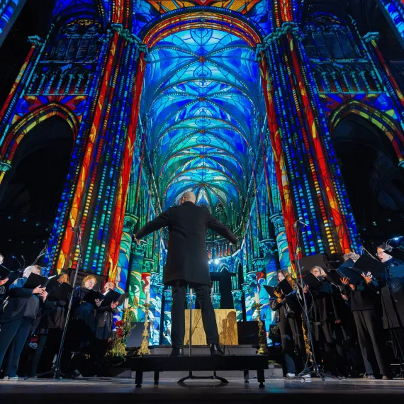 Spectacle sons et lumières choeur live Luminiscence