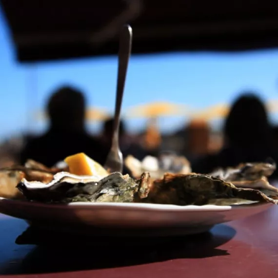 De la forêt à l'assiette - Bassin d'arcachon