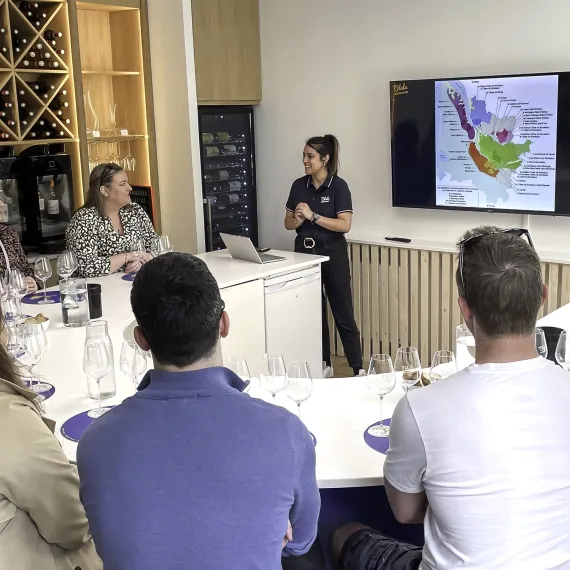 Découverte du terroir les vins de Bordeaux Olala Bordeaux 