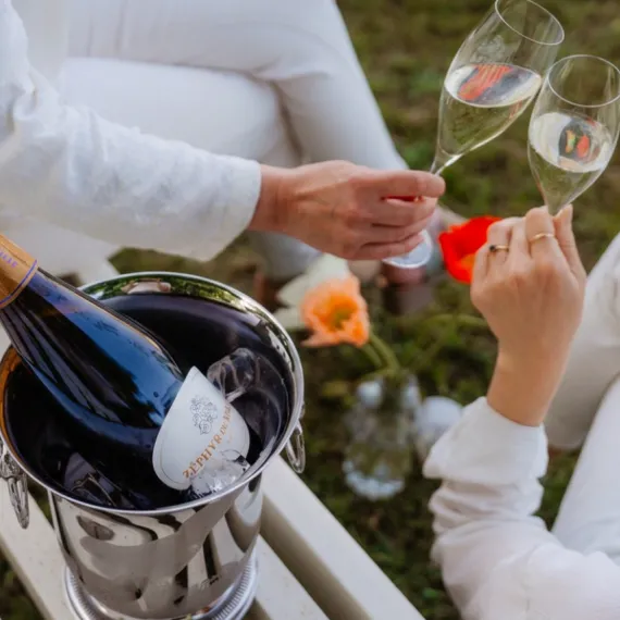 Deux personnes dégustant du vin blanc en plein air lors d'un pique-nique dans un cadre viticole.