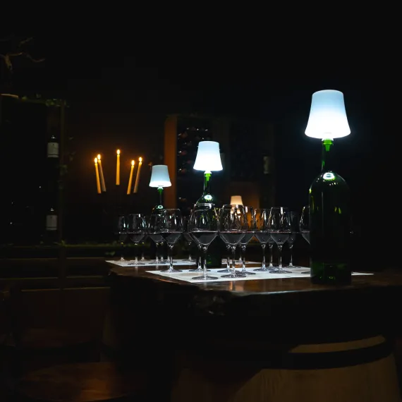 Ambiance salon dégustation verticale Balestard La Tonnelle