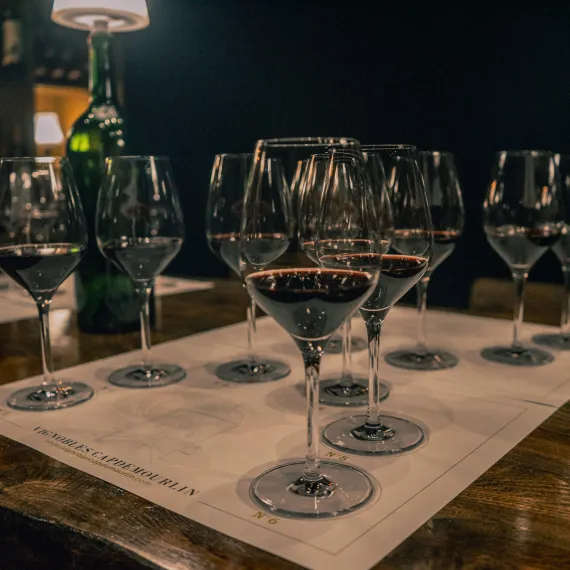 Dégustation de vins Balestard La Tonnelle