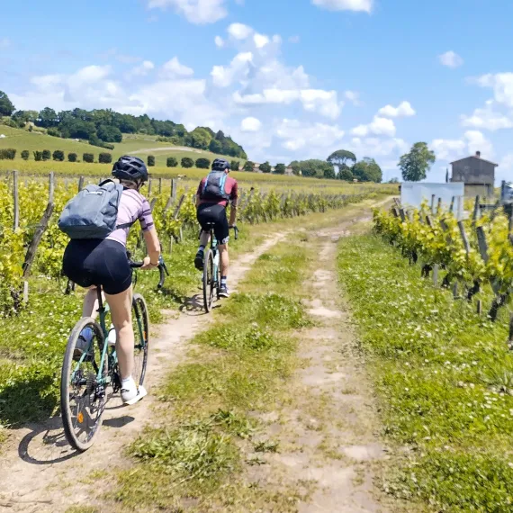 Gravel Explore dans les vignes