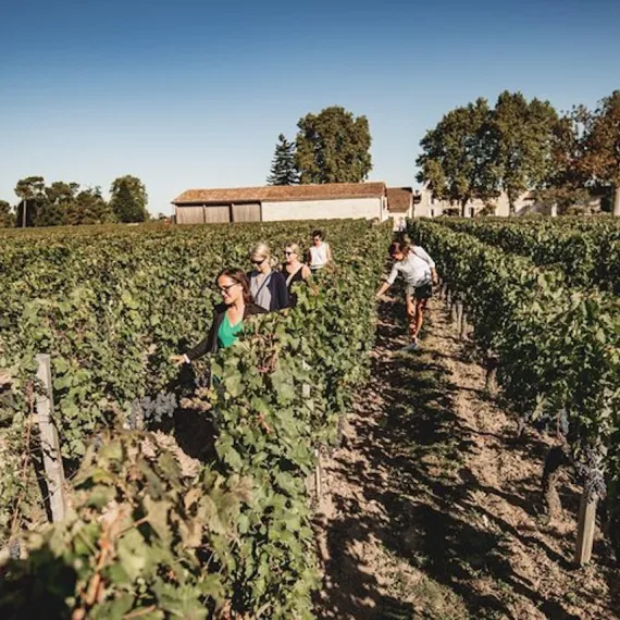 Balade dans les vignes Rustic Vines