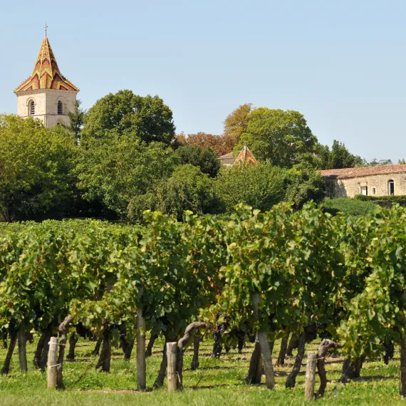 Balade dans les vignobles de Bourg & Blaye