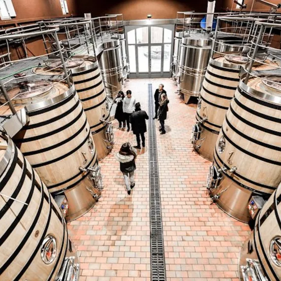 Visite Château cuvier Saint-Emilion Rustic Vines