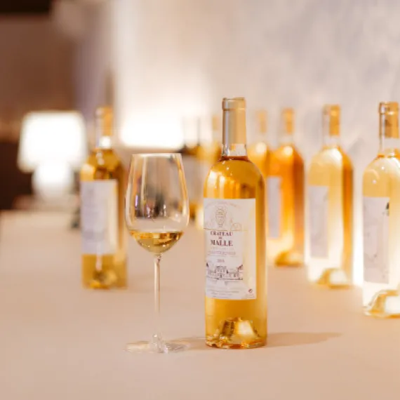 Vins de Sauternes dégustés lors de la visite du Château de Malle 