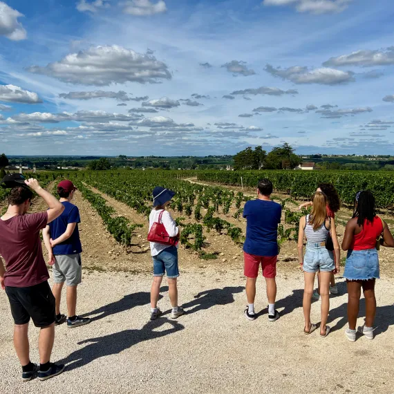 Visite dans les vignes Château Balestard La Tonnelle