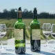 vert Bx Médoc