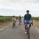 Trois cyclistes à vélo traversent les vignobles de Bordeaux sur une route entourée de vignes.
