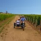 vignobles en side-car