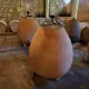 wine cab bio