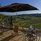 Vue sur les vignes