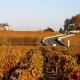 The Route des Châteaux through the vineyards of Pauillac in the Médoc