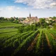 Vinhas de Bordéus com vista para uma vila medieval com telhados vermelhos e igreja ao fundo, rodeada por fileiras de videiras verdes sob um céu azul nublado.