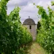 Balestard dégustation à l'aveugle