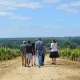 Les Vignes de Rayne Vigneau