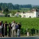 balade-grand-cru-st-emilion.png