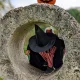 Halloween au château : Un enfant déguisé en sorcière se glisse dans une sculpture en pierre surmontée d’une citrouille d’Halloween.