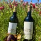Château Couhins, Vin et chocolat dans les vignes