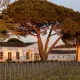 Château de Fieuzal vu depuis les vignes