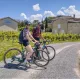 Château Gueyrot, vignoble à vélo