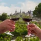 Dégustation devant les vignes 