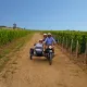 vignoble en side-car