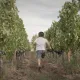 Enfant qui court dans les vignes