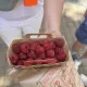Un Goûter Presque Parfait dégustation framboise