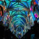 Luminiscence spectacle immersif cathédrale