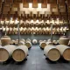 Découverte chai à barrique Vert Bordeaux