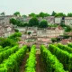 Village de Saint-Emilion vu des vignes 