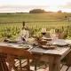 Terrasse dans les vignes du Château George 7