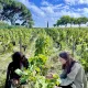 Découverte du terroir de Saint-Emilion