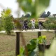 Le vignoble de Saint-Emilion à vélo A La Française
