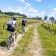 Gravel Explore dans les vignes
