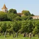 Balade dans les vignobles de Bourg & Blaye