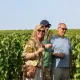 Découverte de la vigne Médoc A la Française