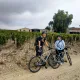 Balade dans les vignes Gravel Explore