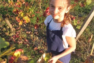 Vignoble en famille