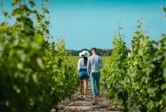 Balade dans le vignoble