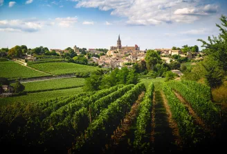 Bordeaux-Weinberge mit Blick auf ein mittelalterliches Dorf mit roten Dächern und Kirchturm in der Ferne, umgeben von Reihen grüner Weinreben unter bewölktem Himmel.