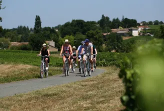 Vélo Saint-Emilion